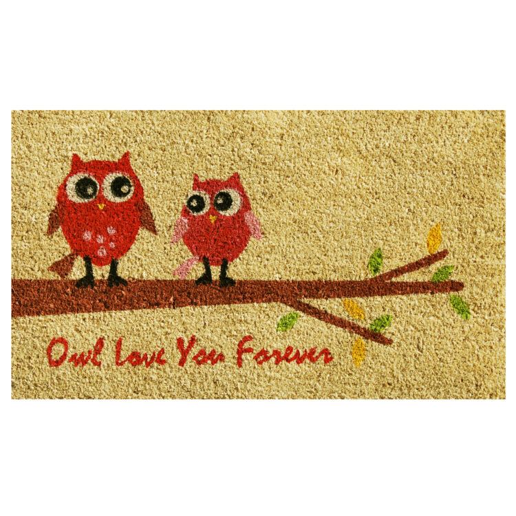 Owl Love Doormat